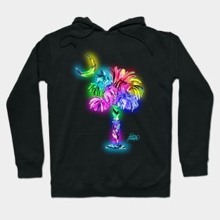 South Carolina logo glow Hoodie